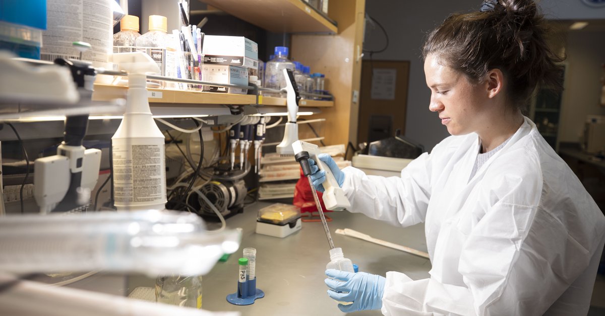 Researchers at VUMC will apply AI to target, and create, possible therapeutic antibodies. Photo: VUMC