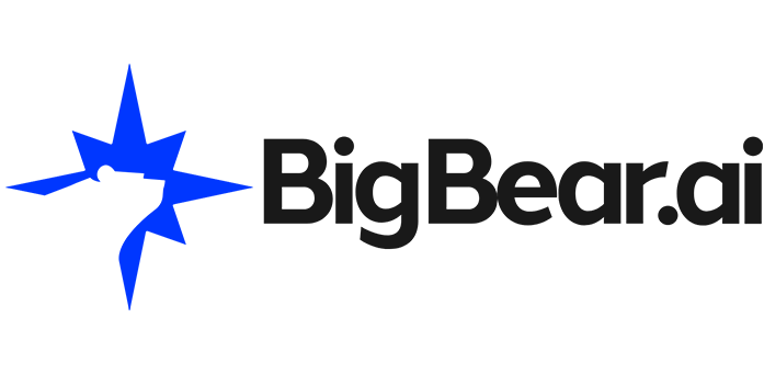https://bigbear.ai